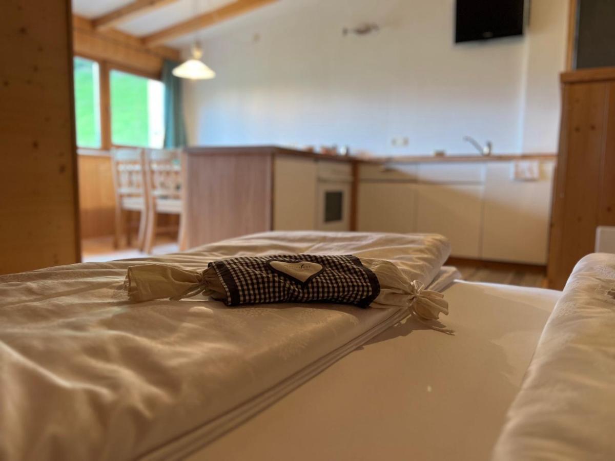 Apparthotel Bio Natur Refugium Blaslahof Santa Maddalena in Casies Esterno foto