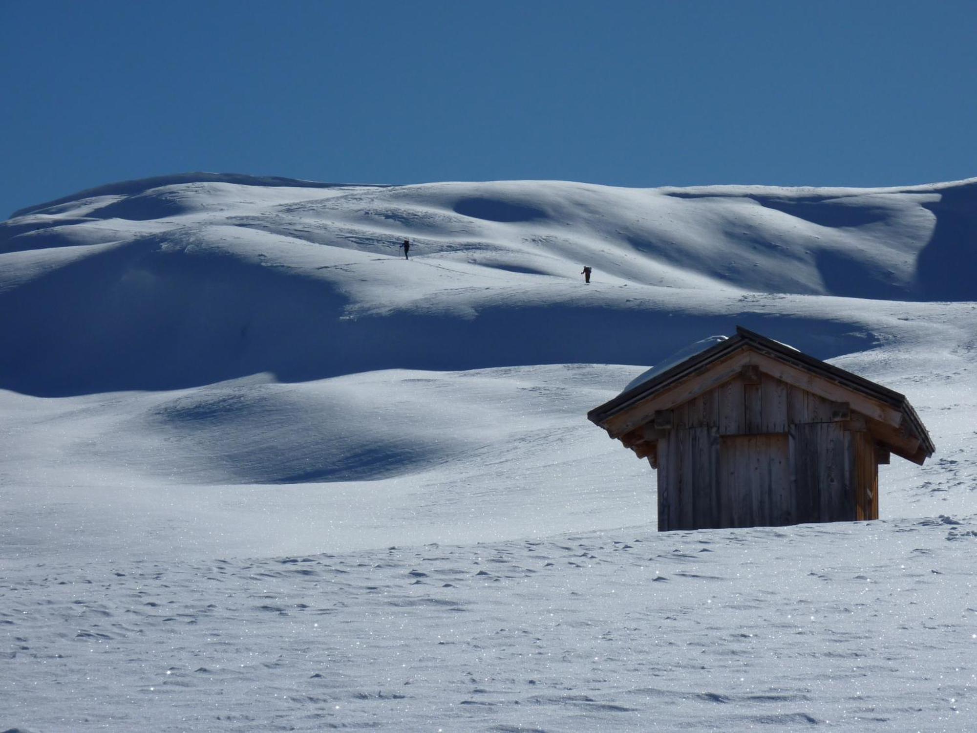 Apparthotel Bio Natur Refugium Blaslahof Santa Maddalena in Casies Esterno foto